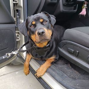 Meet your Posher, Stephen